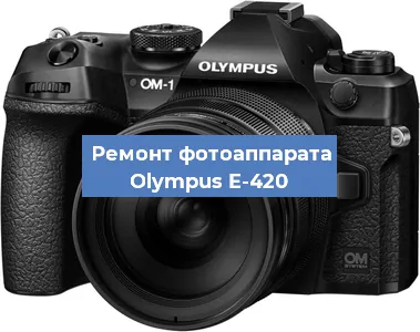 Прошивка фотоаппарата Olympus E-420 в Санкт-Петербурге
